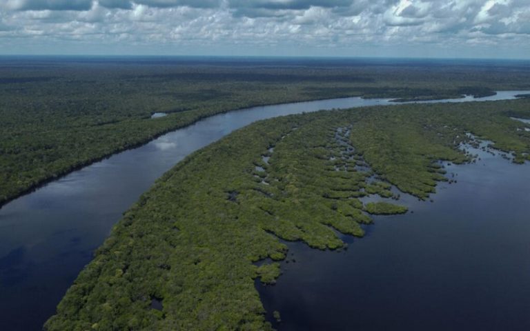 Un sommet régional pour lutter contre la déforestation et sauver l&rsquo;Amazonie s’ouvre ce mardi 8 août 2023 à Belém au Brésil