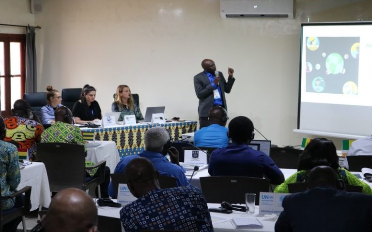 BirdLife lance le Manuel de Conservation des Oiseaux de Mer pour l’Afrique de l’Ouest