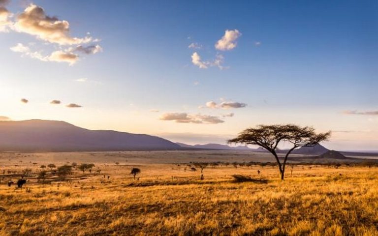 L’ONU constate que l’Afrique pâtit du changement climatique de manière disproportionnée