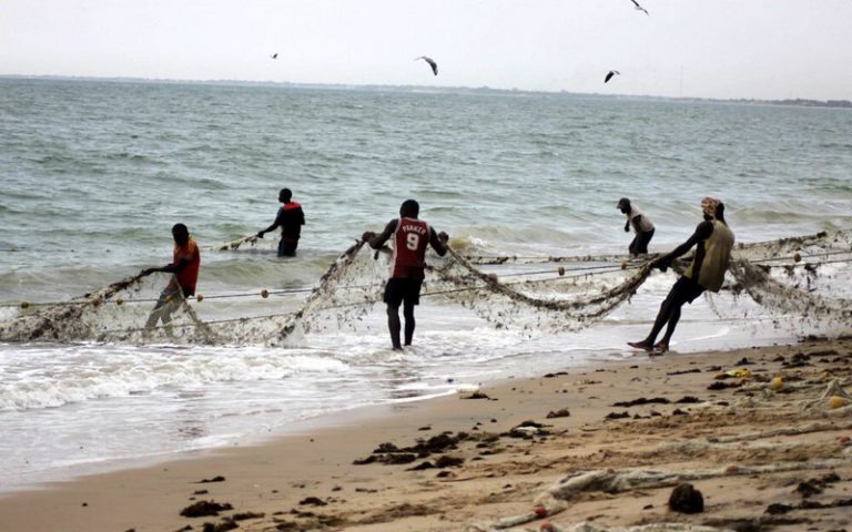 La pêche au Sénégal : Entre surexploitation, licences étrangères et changement climatique | Le thiebou dieune en voie de disparition ?