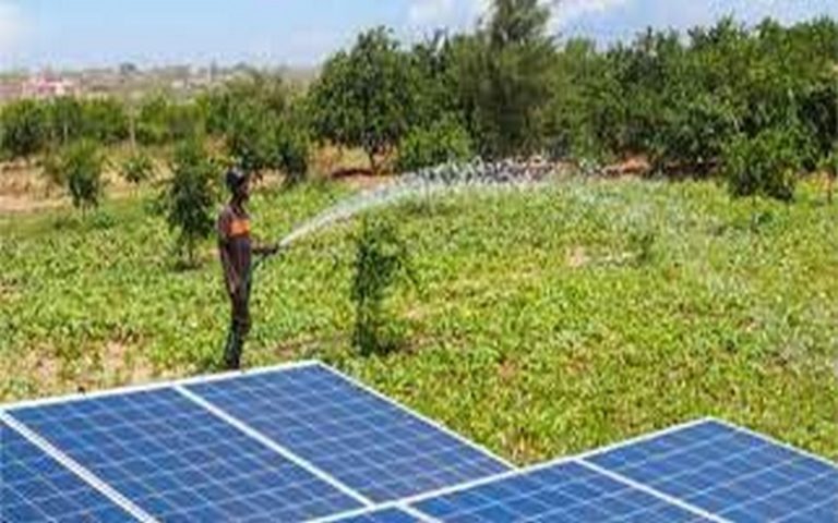 Le Sénégal privilégie une transition écologique en phase avec ses objectifs de souveraineté alimentaire et énergique, clame le directeur de la planification