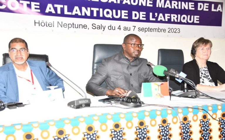 « Le Sénégal s’est engagé très tôt et résolument dans la protection et la conservation de la mégafaune marine », selon Fodé Fall