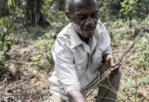 Les leaders du monde économique appellent à une mobilisation des financements en faveur de l’agriculture africaine pour combattre la faim