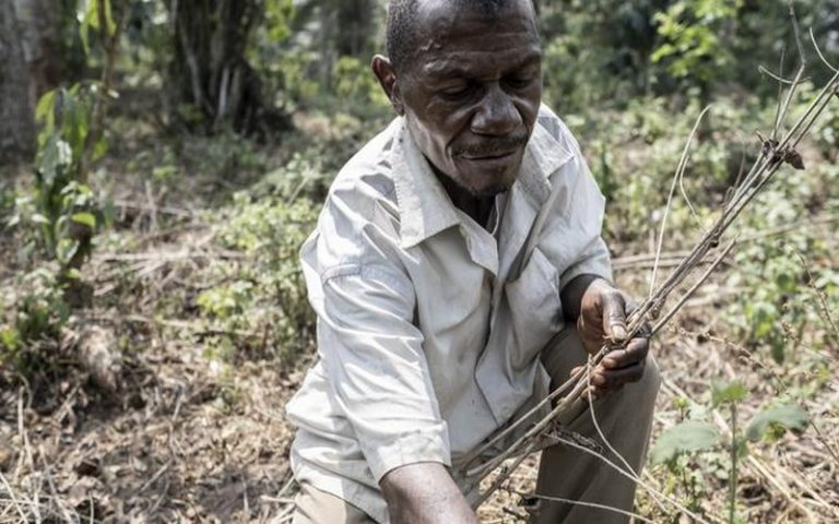Les leaders du monde économique appellent à une mobilisation des financements en faveur de l’agriculture africaine pour combattre la faim