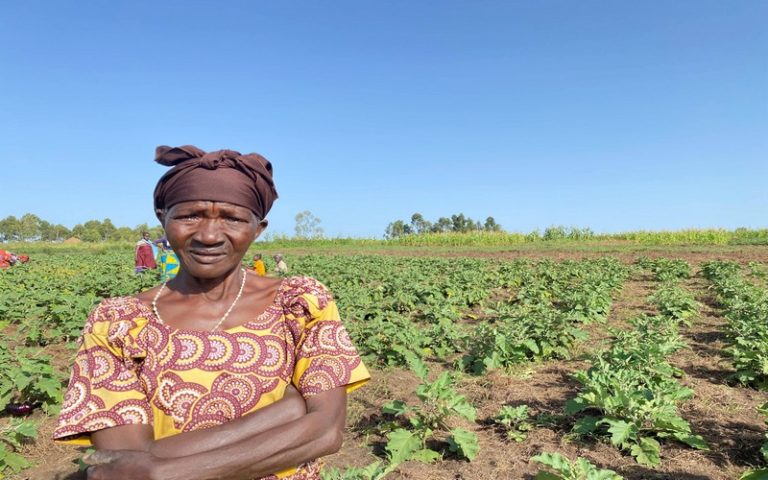 Près d’un quart de la population de la RDC confrontée à une insécurité alimentaire aiguë
