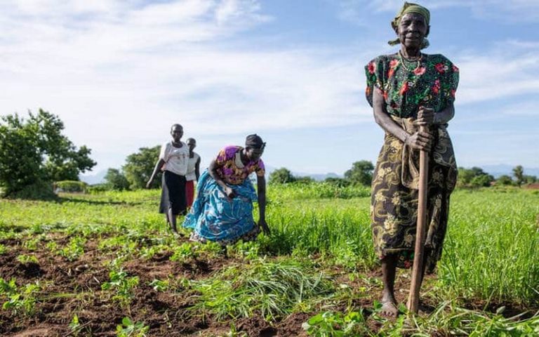 Soutien à l’agriculture africaine : Les USA et la Norvège prévoient de débloquer 70 millions $