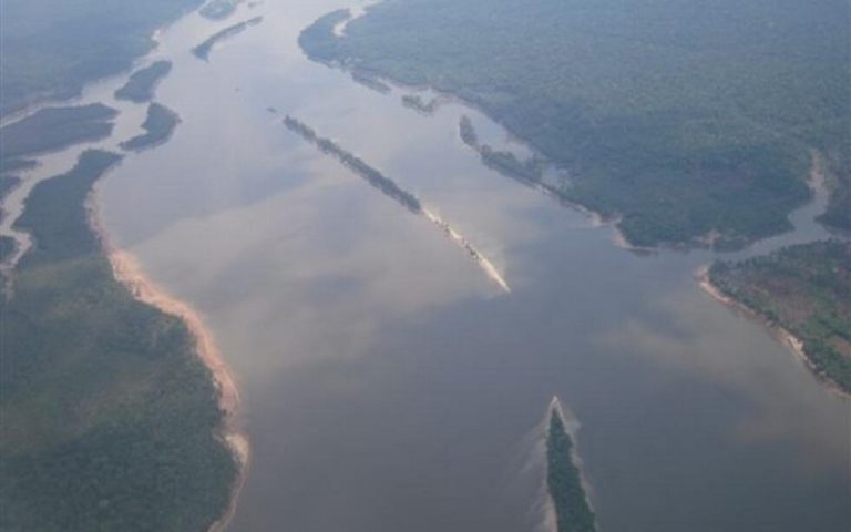 « Aller plus loin » pour protéger les forêts objectif du Sommet des bassins forestiers tropicaux du Congo Brazzaville