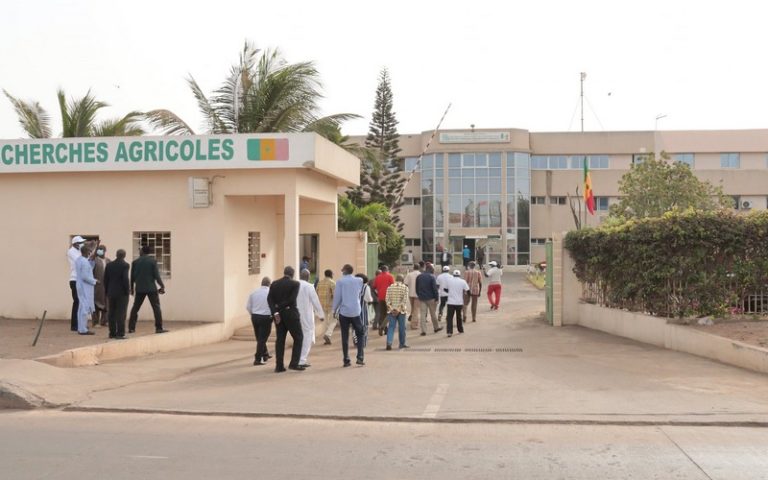 Analyse des sols en Afrique subsaharienne : Les experts du AFRILAB travaillent pour une meilleure qualité des mesures de laboratoires
