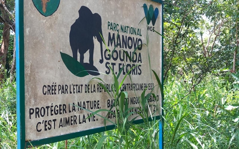 Centrafrique : Incursion dans le parc national Manovo-Gounda Saint Floris qui vit une difficile renaissance