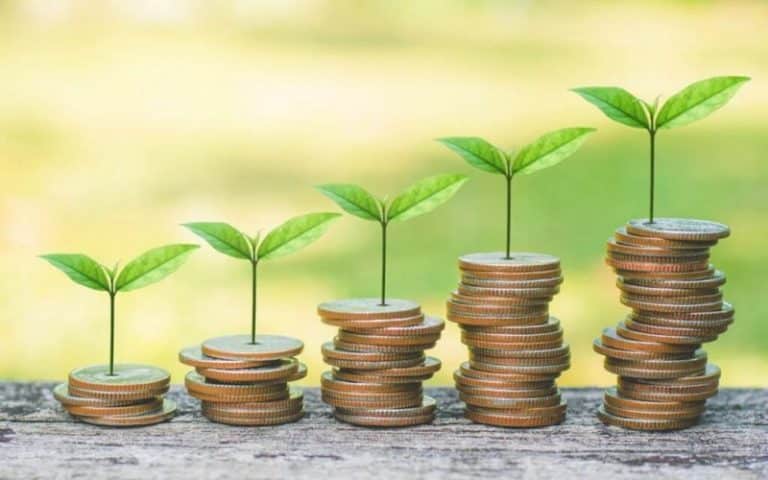 Changement climatique : Le Sénégal présente le processus d’élaboration du projet de taxonomie verte aux acteurs