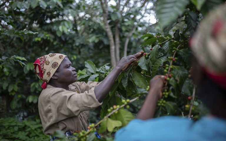 Journée internationale des femmes rurales, une occasion pour intensifier la lutte pour leurs droits au foncier