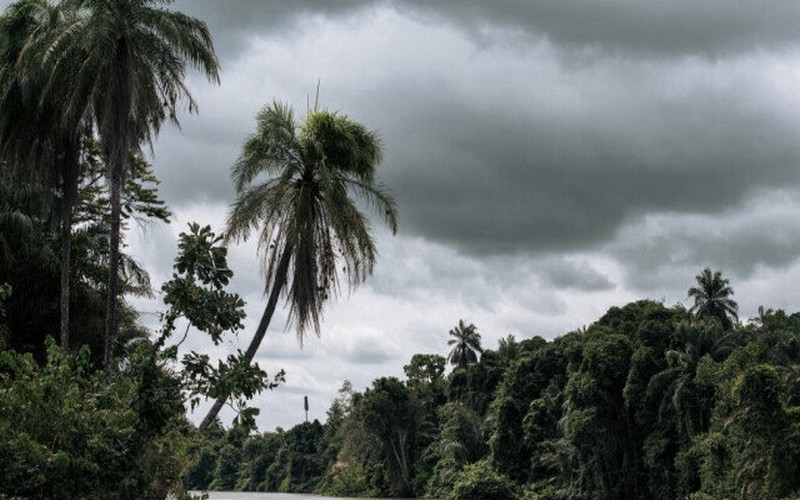  L’Afrique face au défi de « gérer ses ressources naturelles » à quelques semaines de la COP28