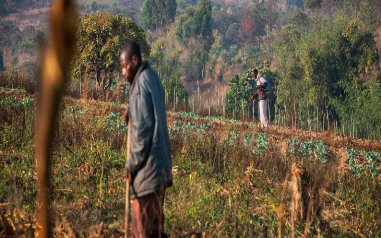La BAD finance le soutien de 10 000 petits exploitants de la filière horticole en Tanzanie