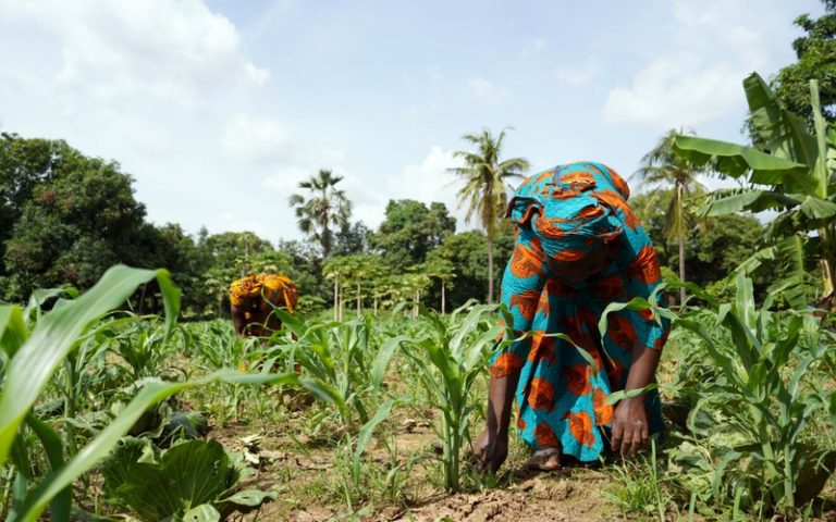 La Deuxième Commission débat des moyens efficaces, comme l’agriculture durable, pour éliminer la pauvreté et garantir la sécurité alimentaire