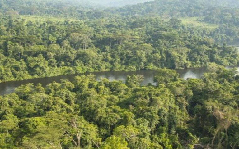 « Les agriculteurs n’ont pas été indemnisés » dans le cadre du projet forestier BaCaSi au Congo-Brazzaville