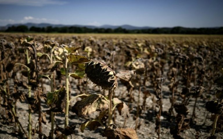 Lutte pour le climat : Des chercheurs misent sur une accélération des publications climatiques pour « sonner l’alarme »