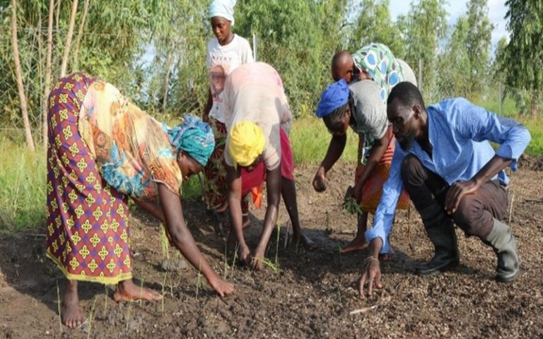 Sénégal : Les agriculteurs et éleveurs de Dagana exposent leurs doléances au Premier ministre