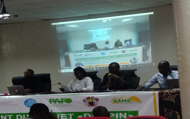 Systèmes alimentaires : Les experts planchent sur la digitalisation du secteur agricole au Sénégal