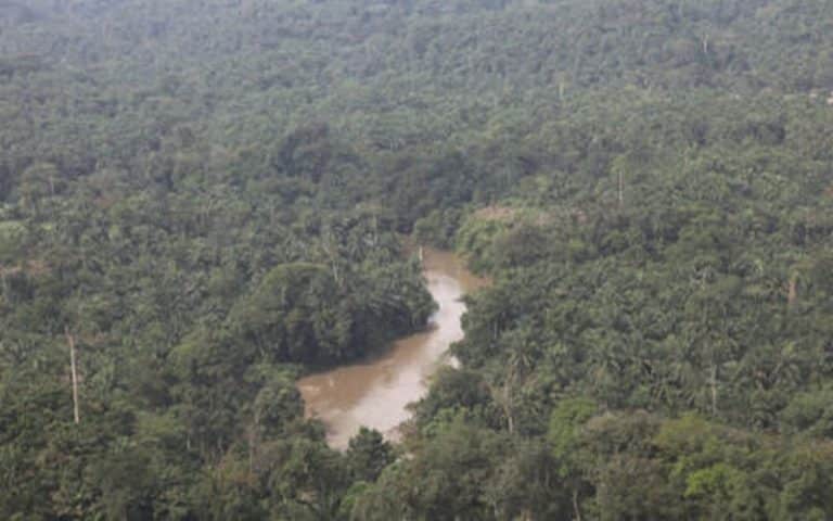 Un nouveau plaidoyer pour les poumons de la planète au menu du Sommet des bassins forestiers tropicaux de Brazzaville