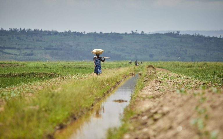 Développer les infrastructures durables et améliorer la gouvernance économique, les priorités du Congo, selon le Document de stratégie pays 2023-2028 de la BAD