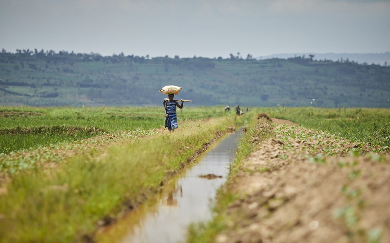 Développer les infrastructures durables et améliorer la gouvernance économique, les priorités du Congo, selon le Document de stratégie pays 2023-2028 de la BAD