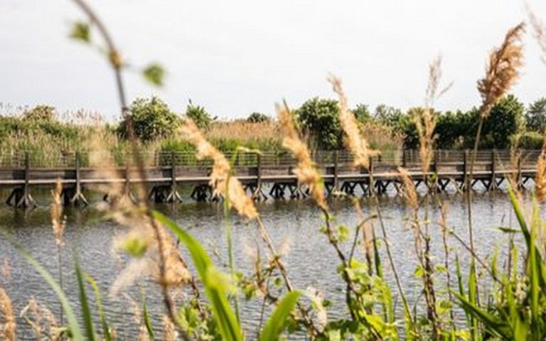 Sénégal : Des formations sur la thématique environnementale lancées à Guinguinéo au profit de quatre communes