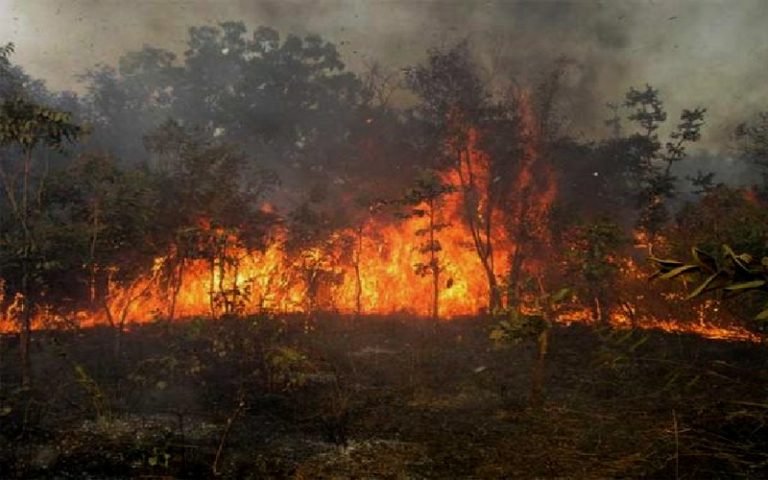 L’IREF de Tambacounda (Sénégal) annonce plusieurs foyers de feux de brousse dans la région