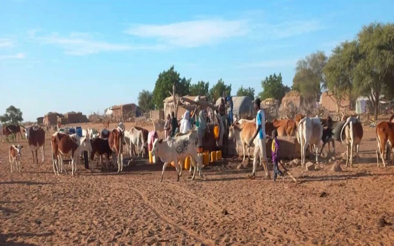 La BAD approuve le projet d’électrification par mini-réseau dans le cadre de l’initiative Desert to Power en Mauritanie