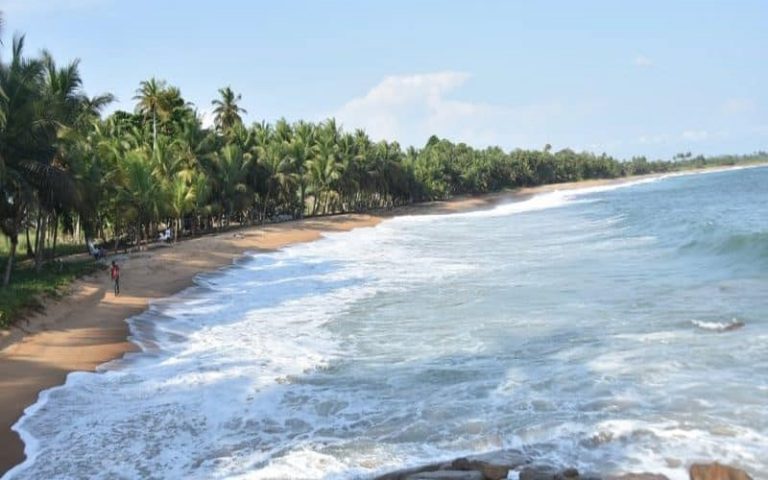  La Côte d’Ivoire adhère officiellement le RAMPAO