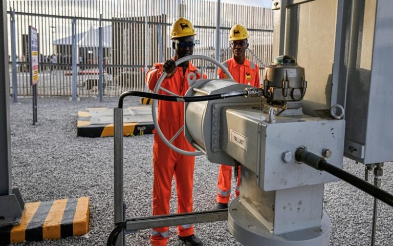 La Côte d’Ivoire met en service le gisement « baleine », avec en ligne de mire, la « décarbonisation »