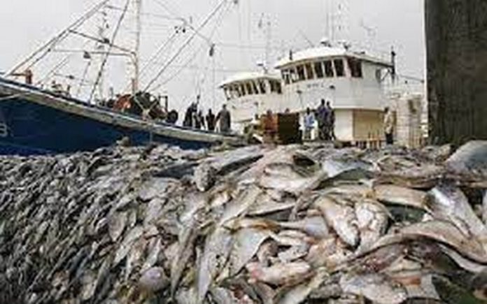 La pêche illégale, l’une des principales causes de la diminution des stocks halieutiques