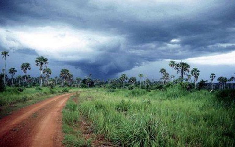 Le changement climatique pourrait réduire le PIB réel de la Côte d’Ivoire de 13 % d’ici à 2050, selon un rapport