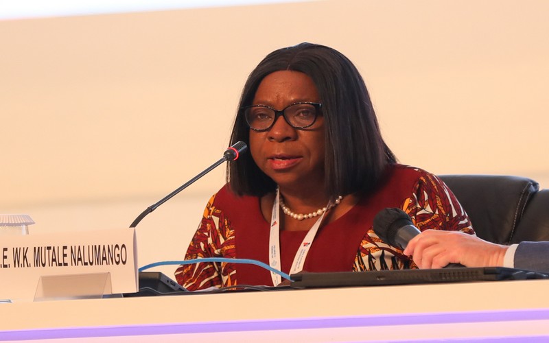 Le vice-président de la Zambie met les chercheurs africains au défi de fournir des solutions pour l’agriculture