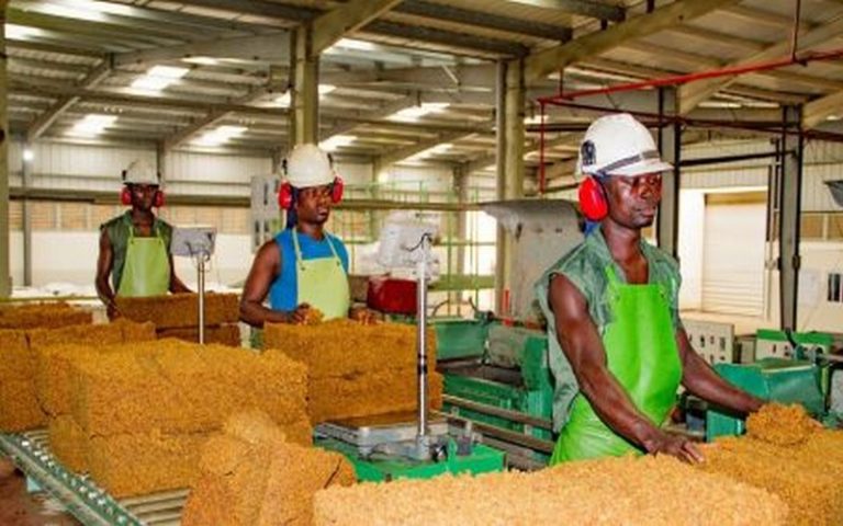 Les industriels de la filière hévéa ivoirienne vont bénéficier du gouvernement un fonds de 1,6 million $