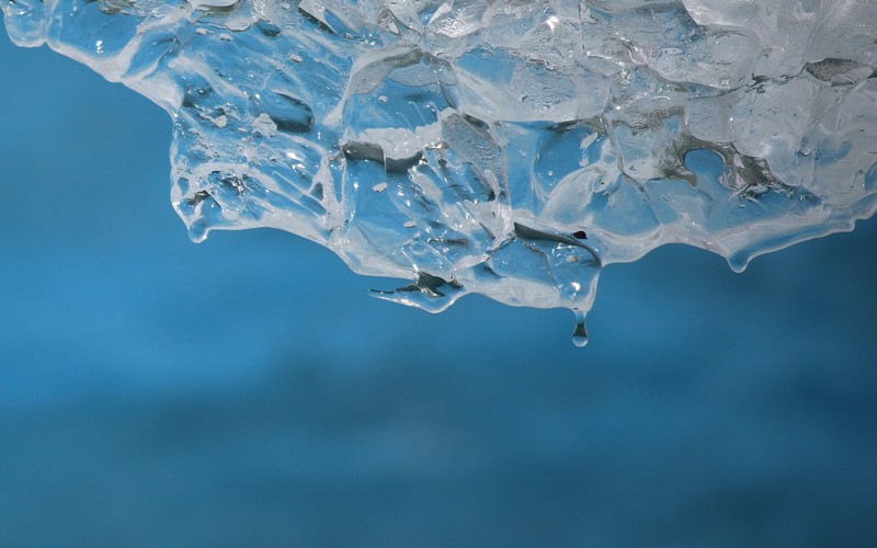 One Polar Summit : Les pôles en première ligne face au changement climatique, les scientifiques proposent des solutions