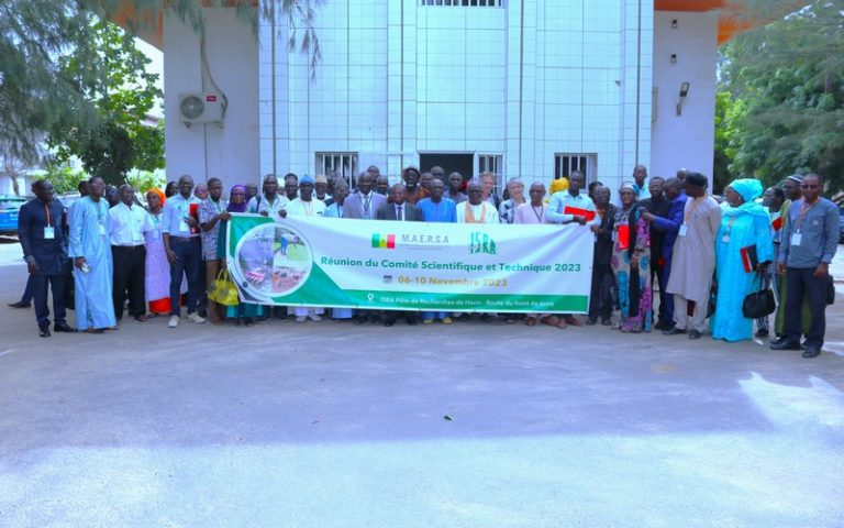 Sénégal : L’ISRA tente d’identifier les différentes contraintes des producteurs dans les productions animales, végétales, forestières, halieutiques et la socio-économie
