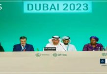 COP28 : La présidence émiratie milite en faveur des initiatives en faveur des plus vulnérables