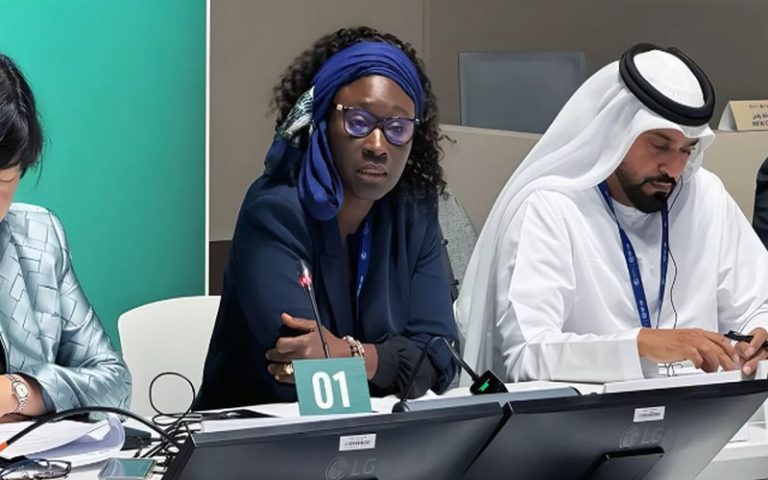 COP28 : Le groupe des PMA fait face à des « difficultés » dans les négociations, selon sa présidente