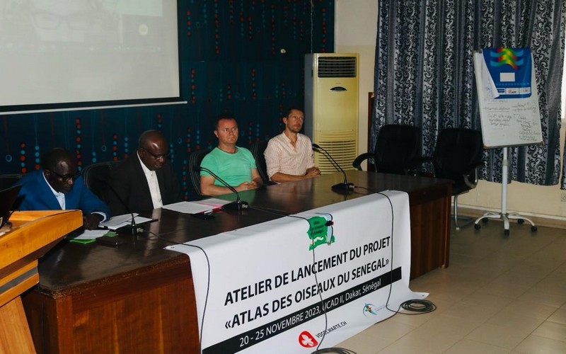 Lancement du projet de l’Atlas des Oiseaux du Sénégal                          