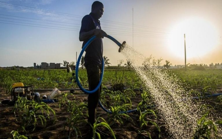 Le combat pour la souveraineté alimentaire face à l’accaparement des terres fait rage au Ghana