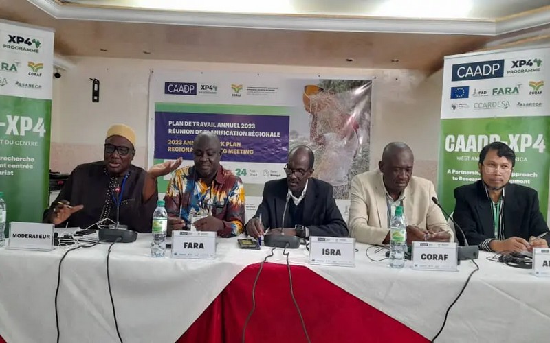 Les organisations de recherches agricoles misent sur la collaboration pour booster l’agriculture en Afrique