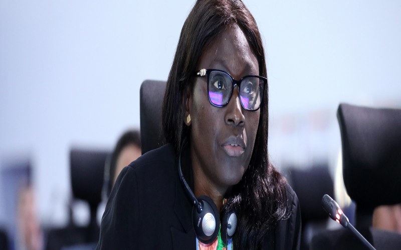 Pour la présidente du groupe des PMA, le fonds « pertes et dommages » devra garantir de nouveaux financements