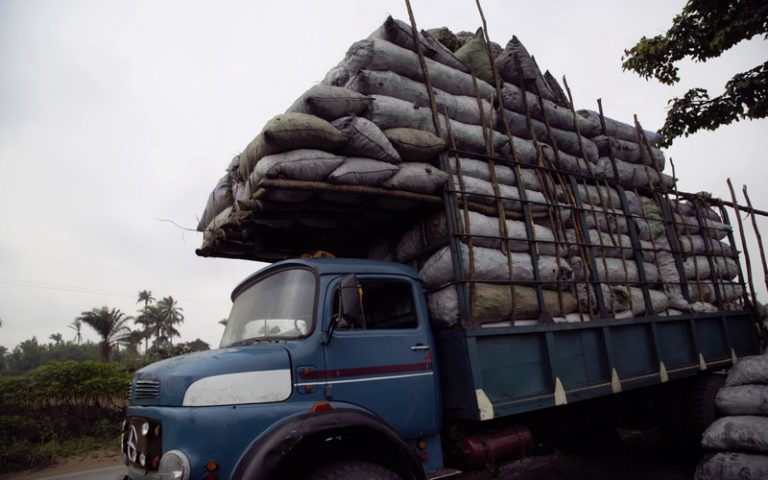 RDC : La consommation du bois-énergie en baisse à Kinshasa, Goma et Bukavu entre 2020-2023