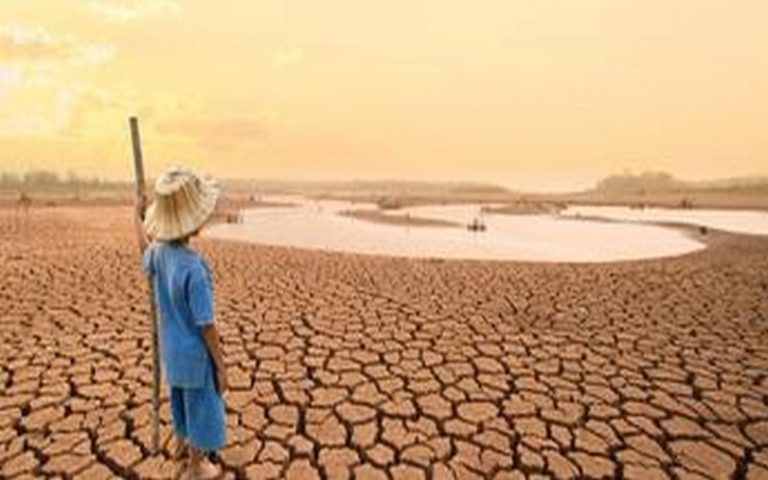 Sénégal : Un consortium initie un festival d’échanges sur le climat pour montrer « les actions positives » des jeunes et des femmes