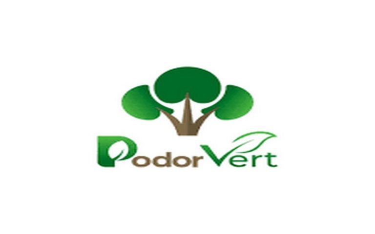 Sénégal : Le projet « Podor, ville verte » officiellement lancé