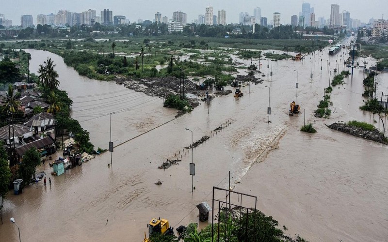 Tanzanie : À Dar es-Salaam, cartographier les arbres pour renforcer la résilience urbaine et lutter contre les inondations