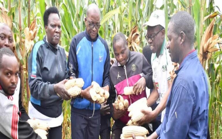 Des producteurs Burundais se félicitent des bons rendements agricoles obtenus cette année grâce au soutien de la BAD