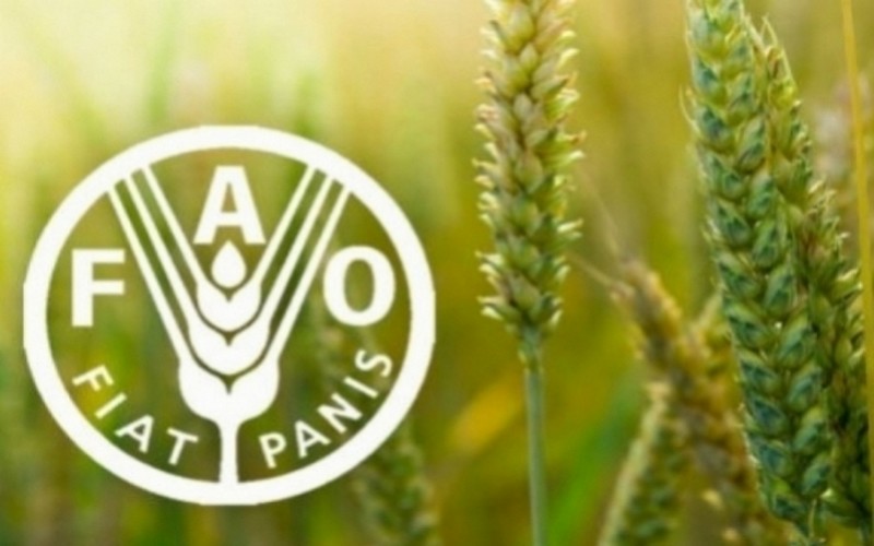 La FAO révèle que les prix alimentaires mondiaux ont baissé de 13,7% en 2023