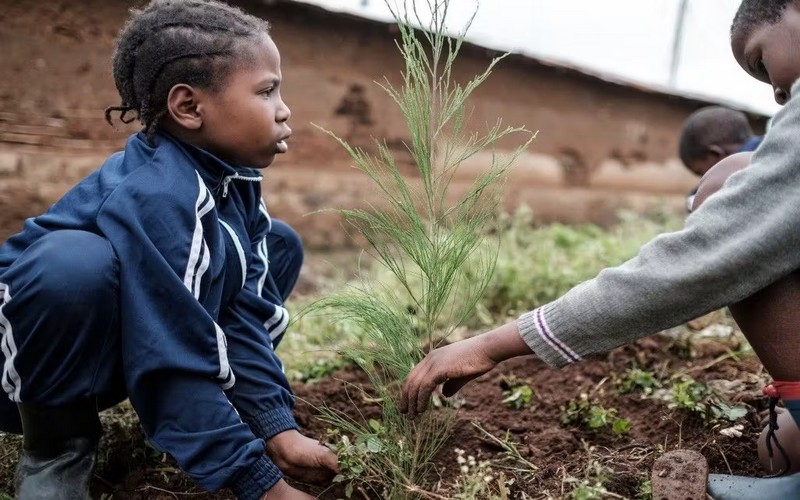 La reforestation au service de l’économie locale au Kenya
