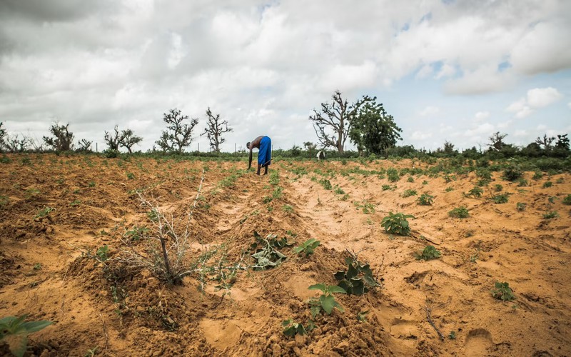 Les prochains rapports du GIEC devront attendre 2027